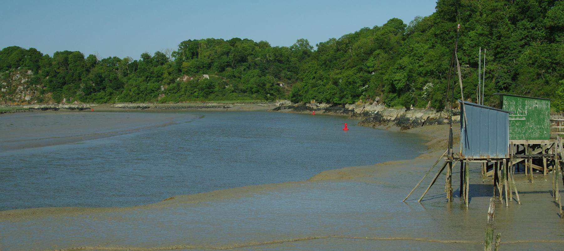 carrelets rogné