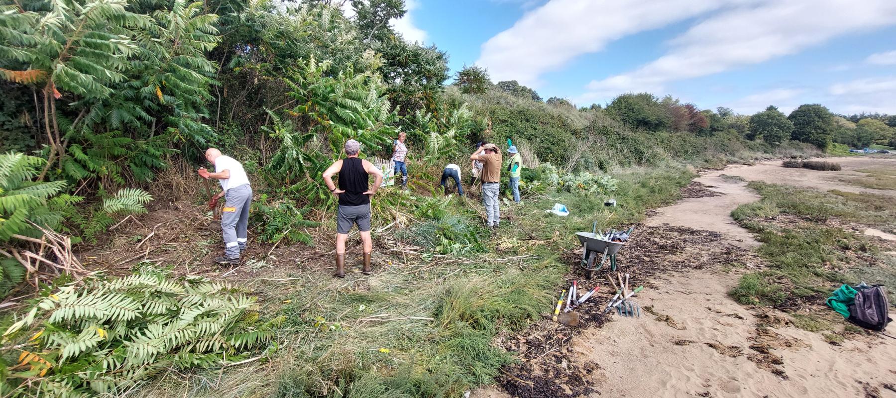 Chantier lutte espèces invasives