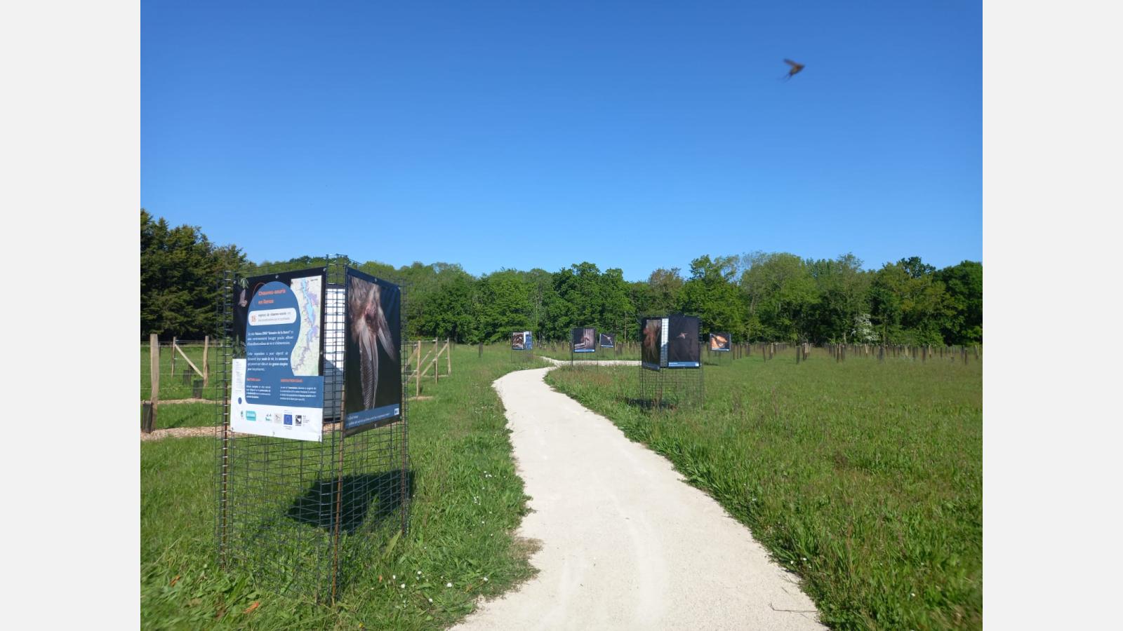 Langrolay-sur-Rance, avril 2025