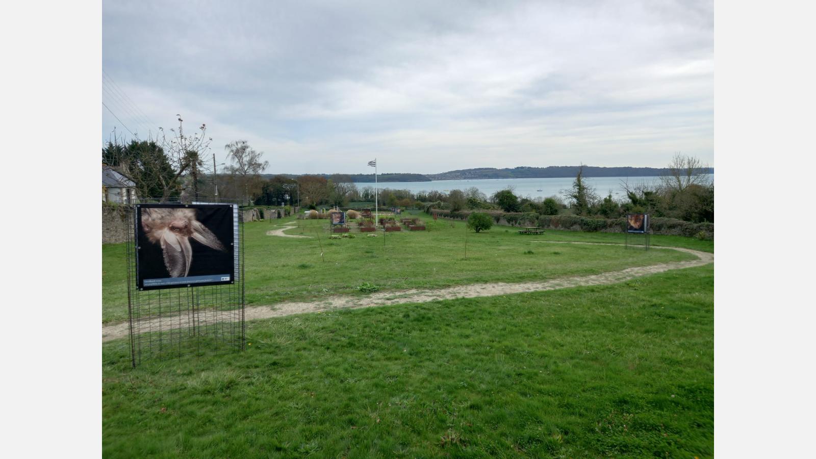 Minihic-sur-Rance, novembre 2025