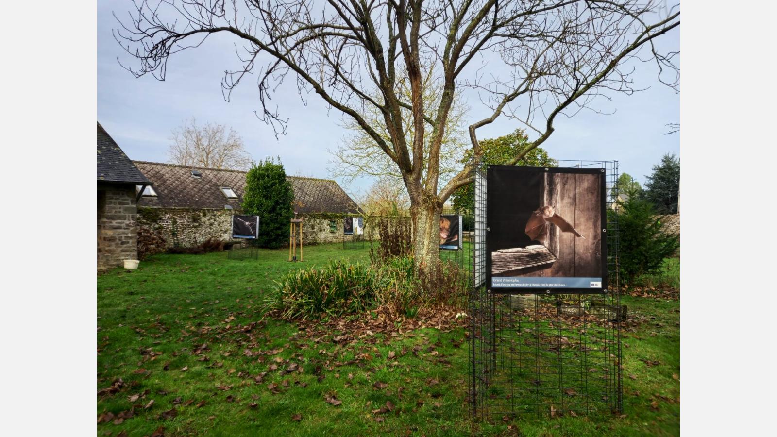 Pleudihen-sur-Rance, décembre 2025